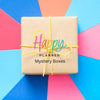 Happy Planner Mystery Box