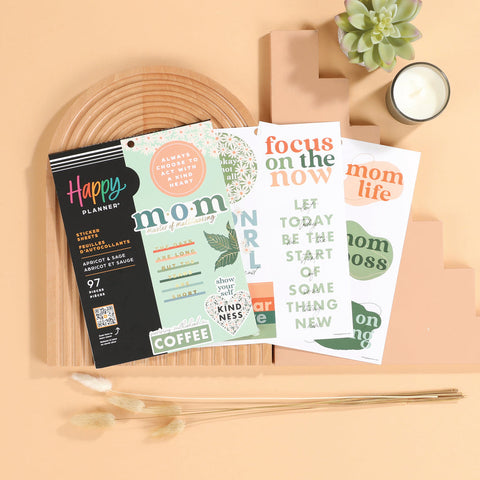 Image of The Happy Planner Apricot & Sage Large Sticker Value Pack